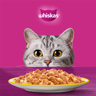 Cibo Gatti 84 Bustine Pollo Agnello Manzo Pollame Whiskas