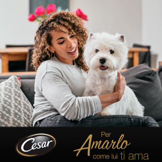 Cibo Cani con Tacchino Manzo Erbe Cesar Ricette di Campagna