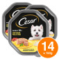 Cesar Senior 10+ Cibo per Cani con Pollo e Riso in Gelatina - 14 Vaschette da 150g