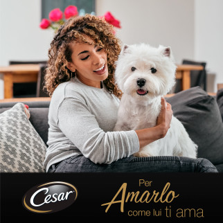 Cibo per Cani con Pollo e Riso in Gelatina Cesar Senior 10+