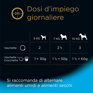 Cibo per Cani con Pollo e Riso in Gelatina Cesar Senior 10+