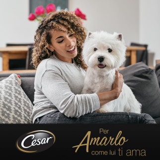 Cibo per Cani con Pollo e Manzo Cesar Selezione in Salsa