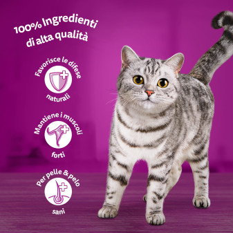 Whiskas Pure Delight Cibo per Gatti Bocconcini Salmone Tonno