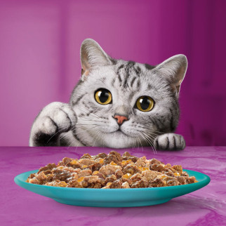Whiskas Cibo per Gatti Pranzetti in Salsa Carni Bianche