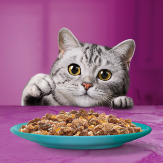 Acquista Cibo per Gatti Pranzetti in Salsa al Pesce Whiskas
