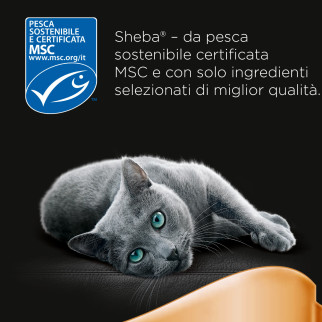 Cibo per gatti con Pollo Tacchino Agnello e Pollo Salmone Sheba