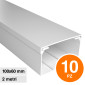 Elmark Canaline Passacavi 100x60 in Plastica Bianca e Coperchio Removibile Lunghezza 2 metri - Confezione da 10 - mod. 56210060