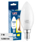 Life Lampadina LED E14 Filament 7W Candela C35 in Vetro Milky - mod. 39.920024CM27 / 39.920024CM30 / 39.920024NM40