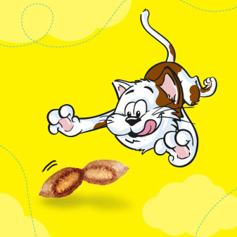 Snack al Formaggio per Gatti - Confezione 350g Catisfactions