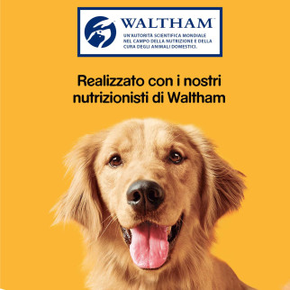 Biscotti Gusto Carne Cani 500g Pedigree Biscrok Multi Mix