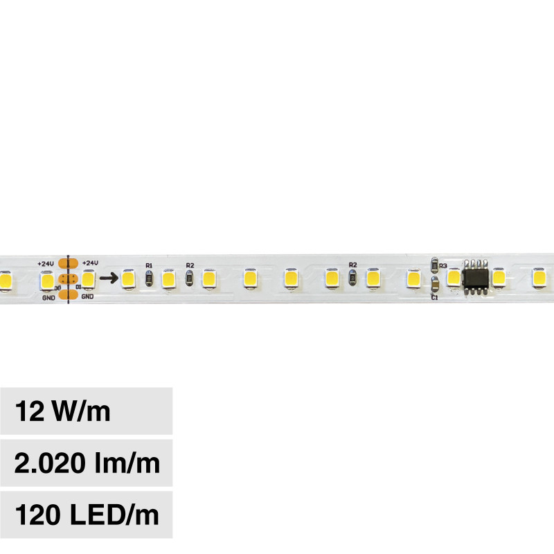 Striscia LED 60W Flessibile SMD Monocolore 24V 5m LEDCO