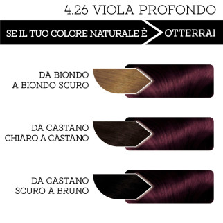 Franck Provost Tinta Capelli Riutilizzabile 4.26 Viola Profondo