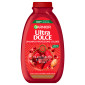Garnier Ultra Dolce Shampoo Protezione Colore Olio d'Argan e Mirtillo Rosso per Capelli Colorati o con Meches - Flacone da 400ml