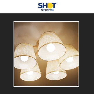 Lampadina LED E27 18W Bulb A67 Dimmerabile Bot Lighting Shot
