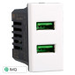 ETTROIT MOON PRESA USB 2POSTI 2.1AMH - Mod. AB2402 - Compatibile con BTicino AXOLUTE