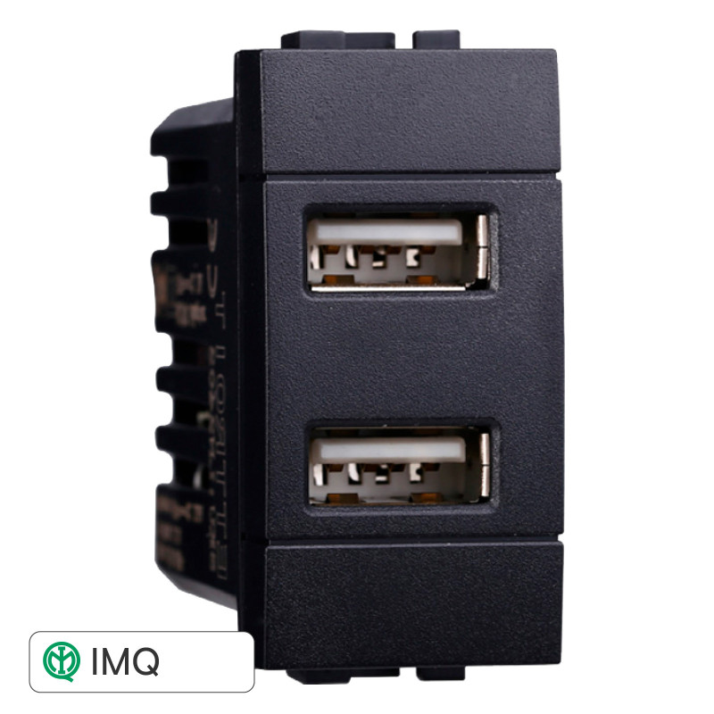 PRESA USB 2POSTI 2.1AMH - modello LN2402