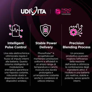 Udivita Batterie Protesi Acustiche Misura 13 Blister da 8