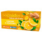 Sognid'oro Infuso Caldo e a Freddo Limone e Zenzero - Confezione da 20 Filtri