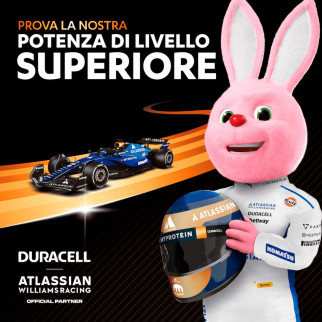 Batterie Stilo AA 1,5V Power Boost - 4pz Duracell Optimum