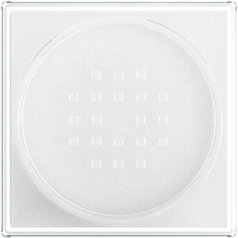 Maybelline New York Fit Me Loose Setting Powder Colore 01 Translucent