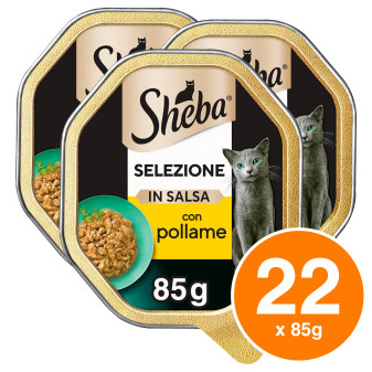 Salsa Cibo per Gatti al Gusto Pollame di Sheba