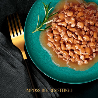 Salsa Cibo per Gatti al Gusto Pollame di Sheba