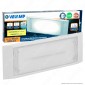 Velamp Holly Lampada LED d'Emergenza Anti Black Out IP65 IK08 Batteria Integrata 1500mAh - mod. ER122