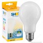 Bot Lighting Lampadina LED E27 11W Bulb A70 Milky Filamento Extra-Lungo - mod. MLD1011X2