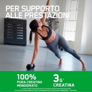 Optimum Nutrition Proteine Calorie e Creatina Serious Mass Cioccolato