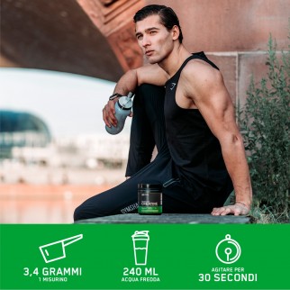 Optimum Nutrition Proteine Calorie e Creatina Serious Mass Cioccolato