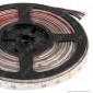 LEDCO Striscia LED RGB+W Multicolore 100W 60 LED/metro 24V Bobina 5 metri IP65 - mod. SL72RGBW65/LBN