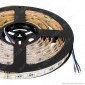 FAI Striscia LED RGB+W Multicolore 96W 60 LED/metro 24V Bobina 5 metri - mod. 5085/300/RGBNW