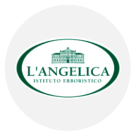 L'Angelica